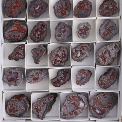 Agate Pseudo. Barite Geodes Flat of 34 - Expert Wholesale and Supplier of Wholesale Crystals & Bulk Gemstones, ["Agate","Agate Pseudo Barite","flat","Flats","Geodes","United States"]