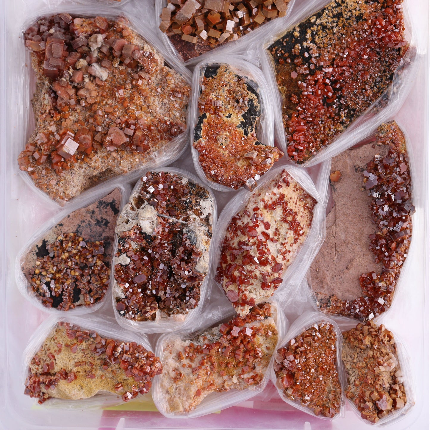 Vanadinite on Barite Flat from Morocco - Expert Wholesale and Supplier of Wholesale Crystals & Bulk Gemstones, ["Barite","Flats","Morocco","Vanadinite","Vanadinite Barite"]
