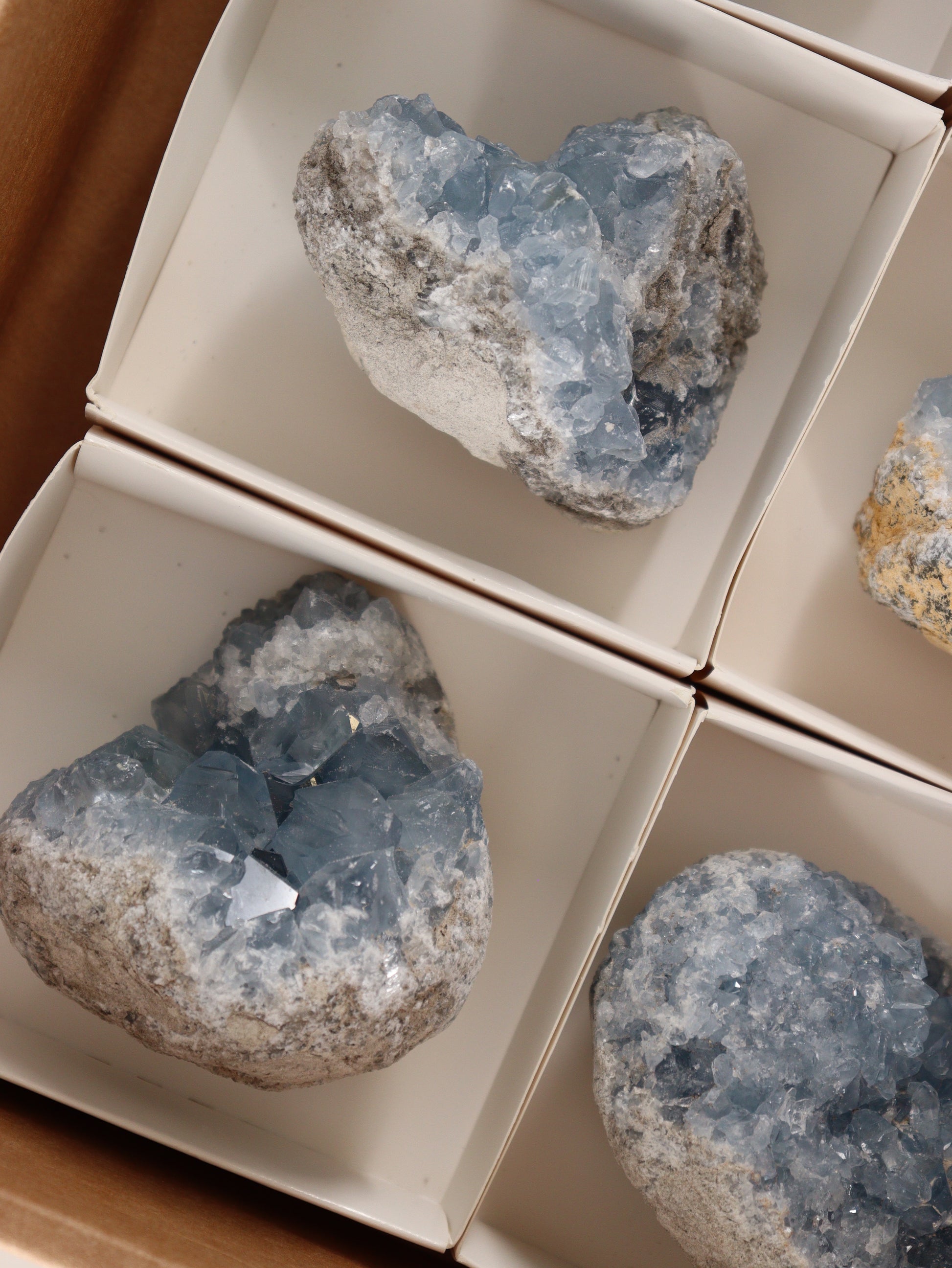 Celestite Clusters Set of 6 - Expert Wholesale and Supplier of Wholesale Crystals & Bulk Gemstones, []