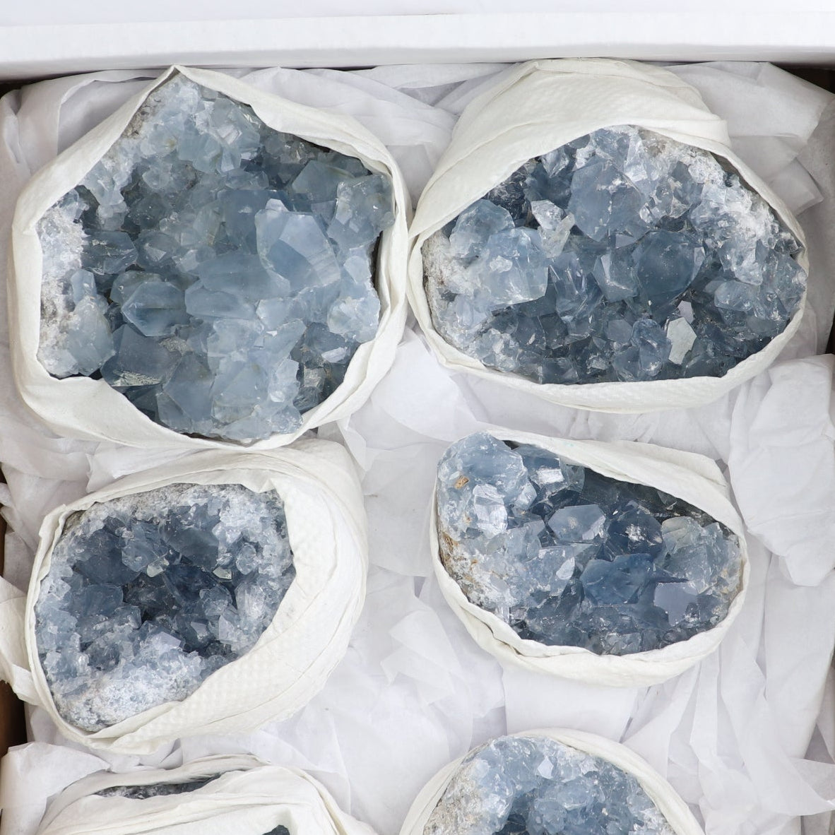 Celestite Clusters Set of 6