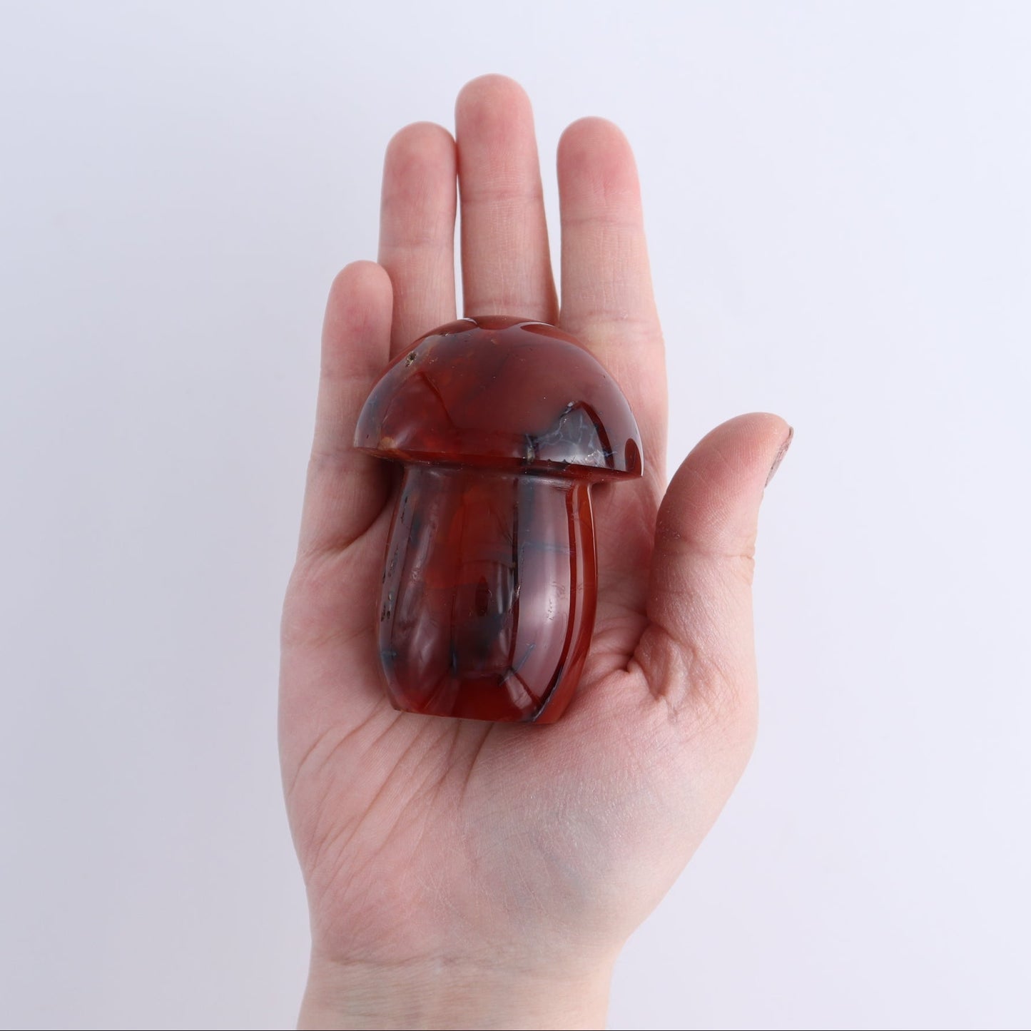 Carnelian Mushrooms Set of 9