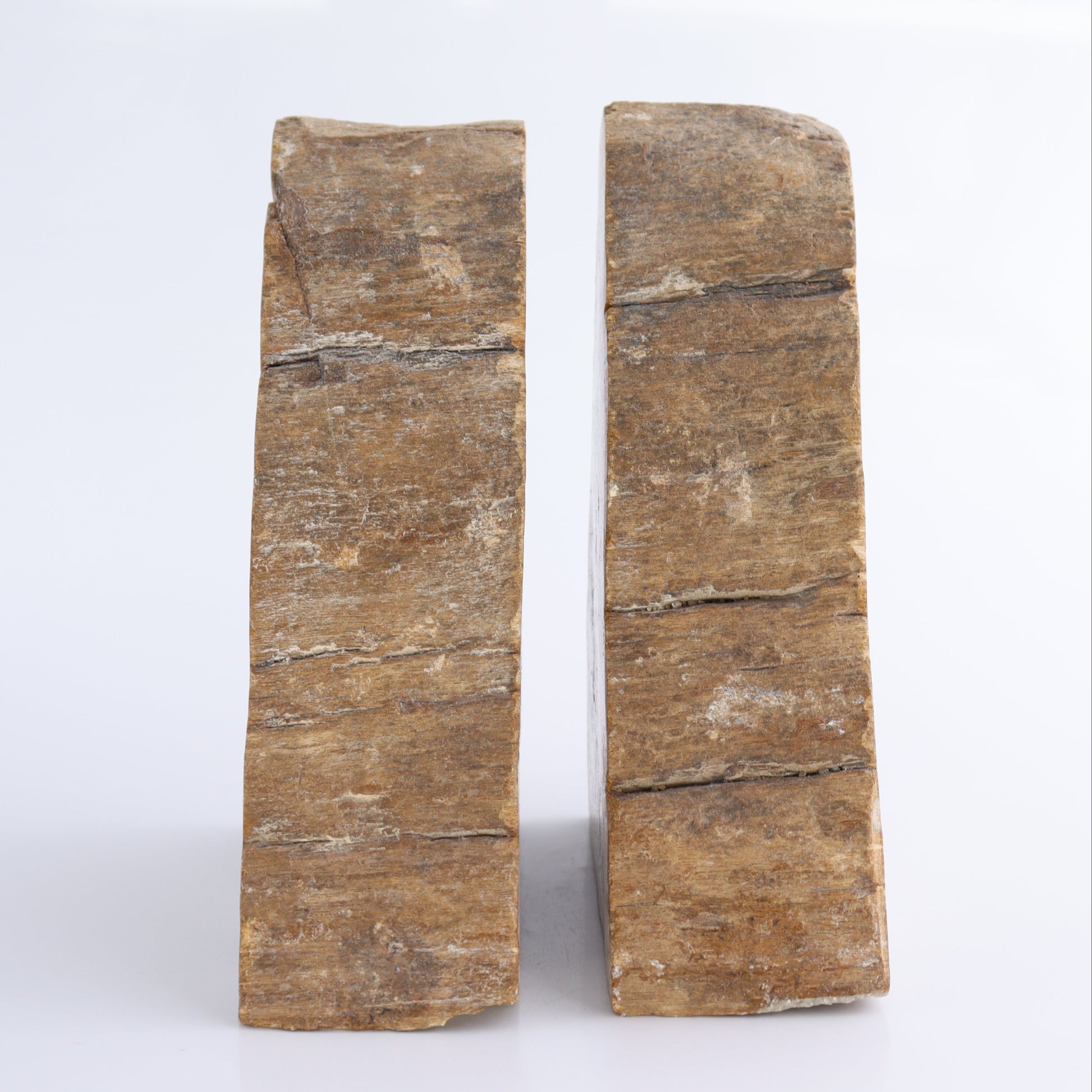 Bookends Petrified Wood - Expert Wholesale and Supplier of Wholesale Crystals & Bulk Gemstones, ["Bookends","Indonesia","Petrified Wood"]