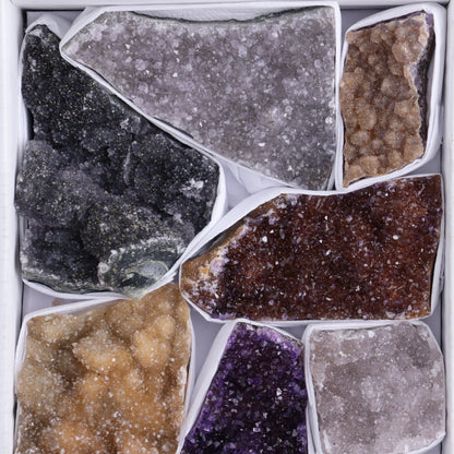 Uruguay Rainbow Amethyst Clusters Flat of 11 - Expert Wholesale and Supplier of Wholesale Crystals & Bulk Gemstones, ["Amethyst","Clusters","Rainbow Amethyst","Sugar Rainbow Amethyst","Uruguay"]