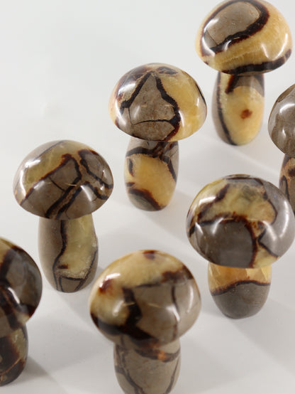 Septarian Mushrooms Set of 7 - Expert Wholesale and Supplier of Wholesale Crystals & Bulk Gemstones, []