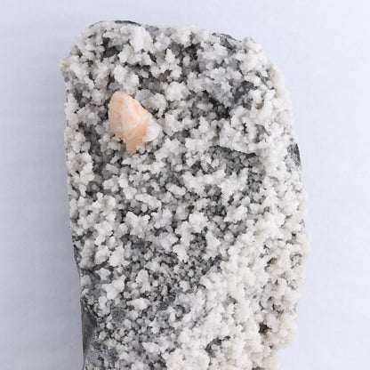 Apophyllite Cluster Cut Base - Expert Wholesale and Supplier of Wholesale Crystals & Bulk Gemstones, ["Apophyllite","close_50","Clusters"]