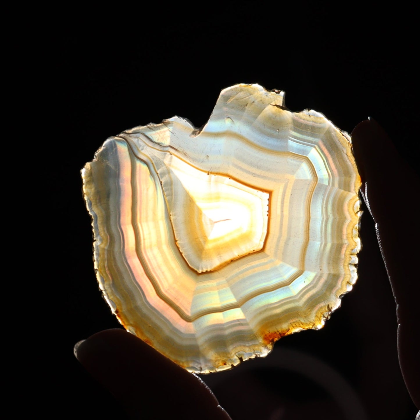 Iris Agate Slices Set of 6 - Expert Wholesale and Supplier of Wholesale Crystals & Bulk Gemstones, ["Agate","Iris Agate","Slices and Slabs"]