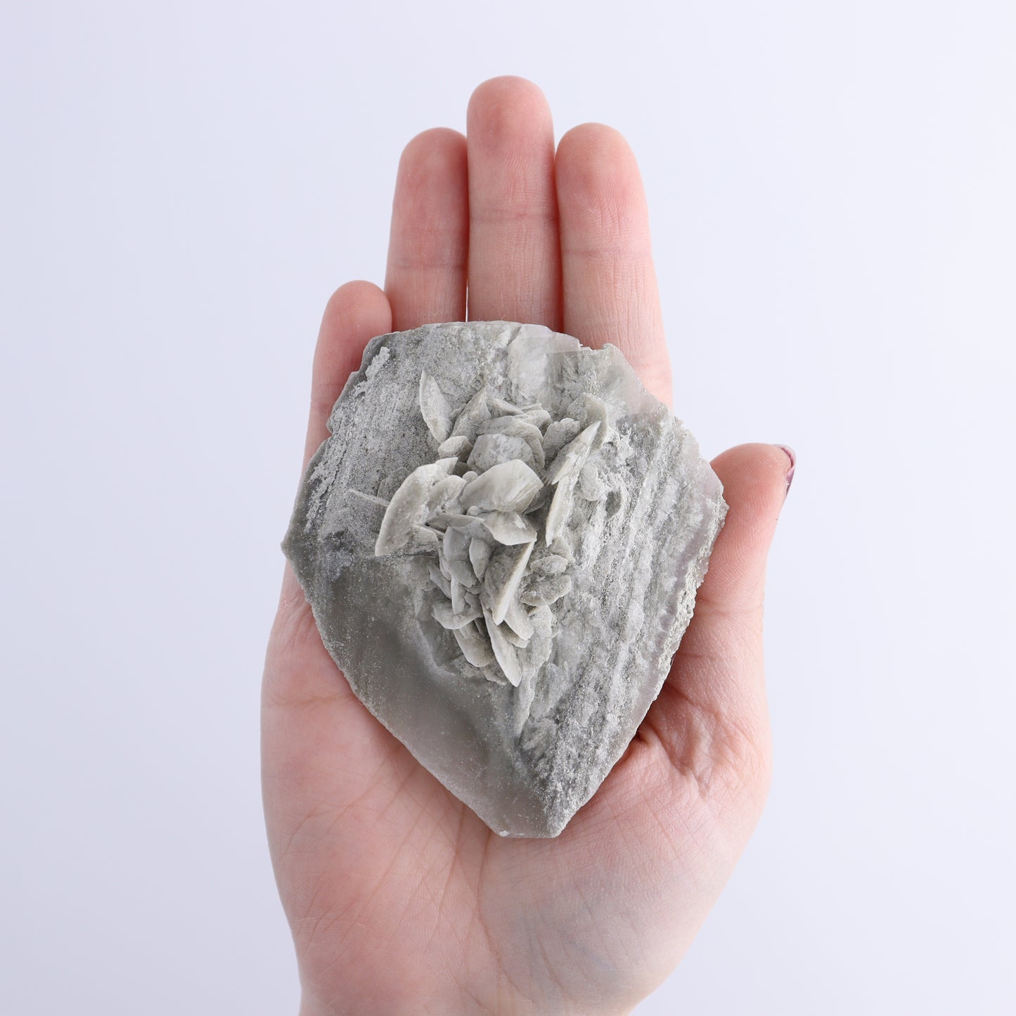 Selenite Clusters Set of 12