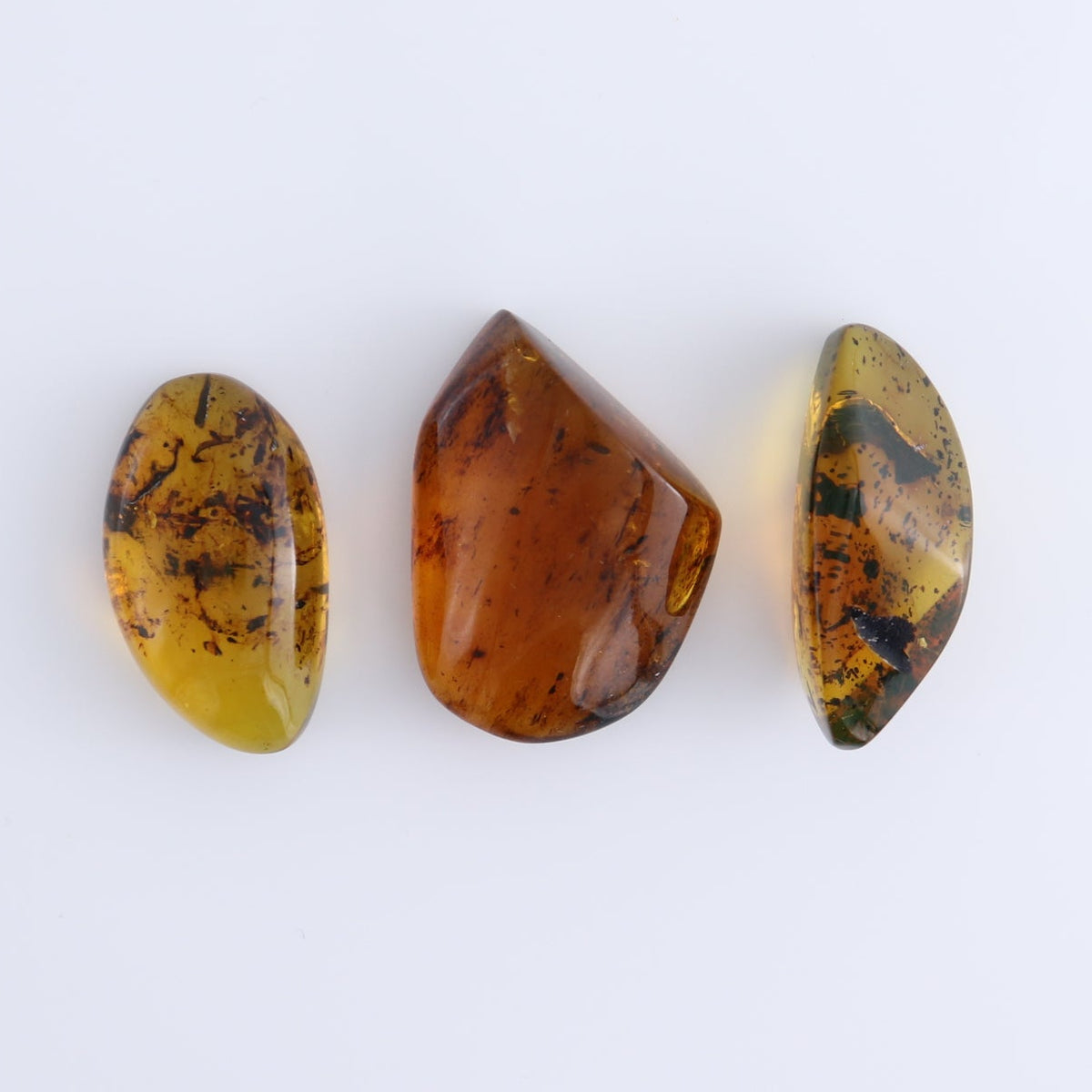 Chiapas Mexico Amber Freeforms Set of 13
