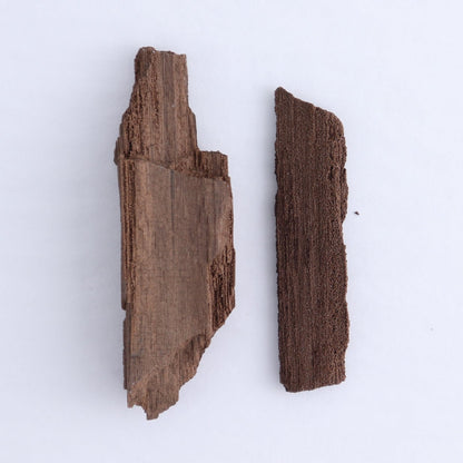 Permineralized Wood Flat of 6