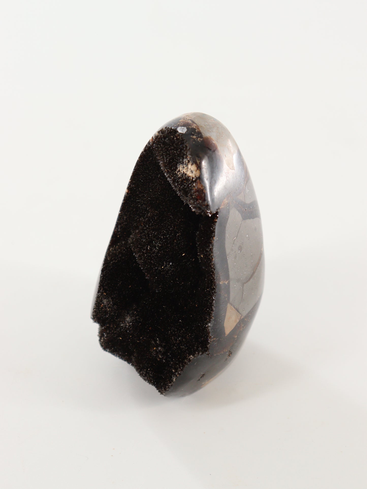 Septarian Cut Bases Set of 4 - Expert Wholesale and Supplier of Wholesale Crystals & Bulk Gemstones, []