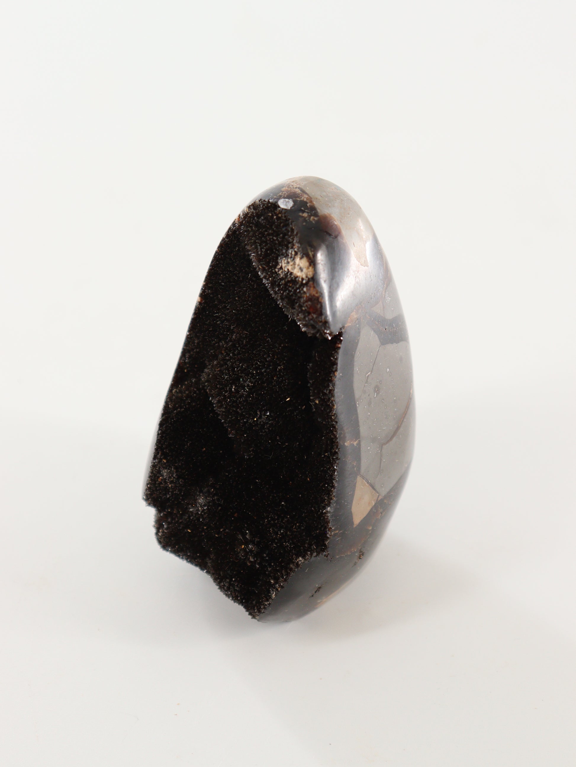 Septarian Cut Bases Set of 4 - Expert Wholesale and Supplier of Wholesale Crystals & Bulk Gemstones, []