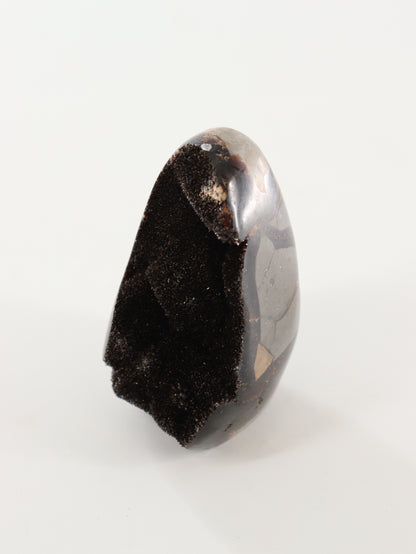 Septarian Cut Bases Set of 4 - Expert Wholesale and Supplier of Wholesale Crystals & Bulk Gemstones, []