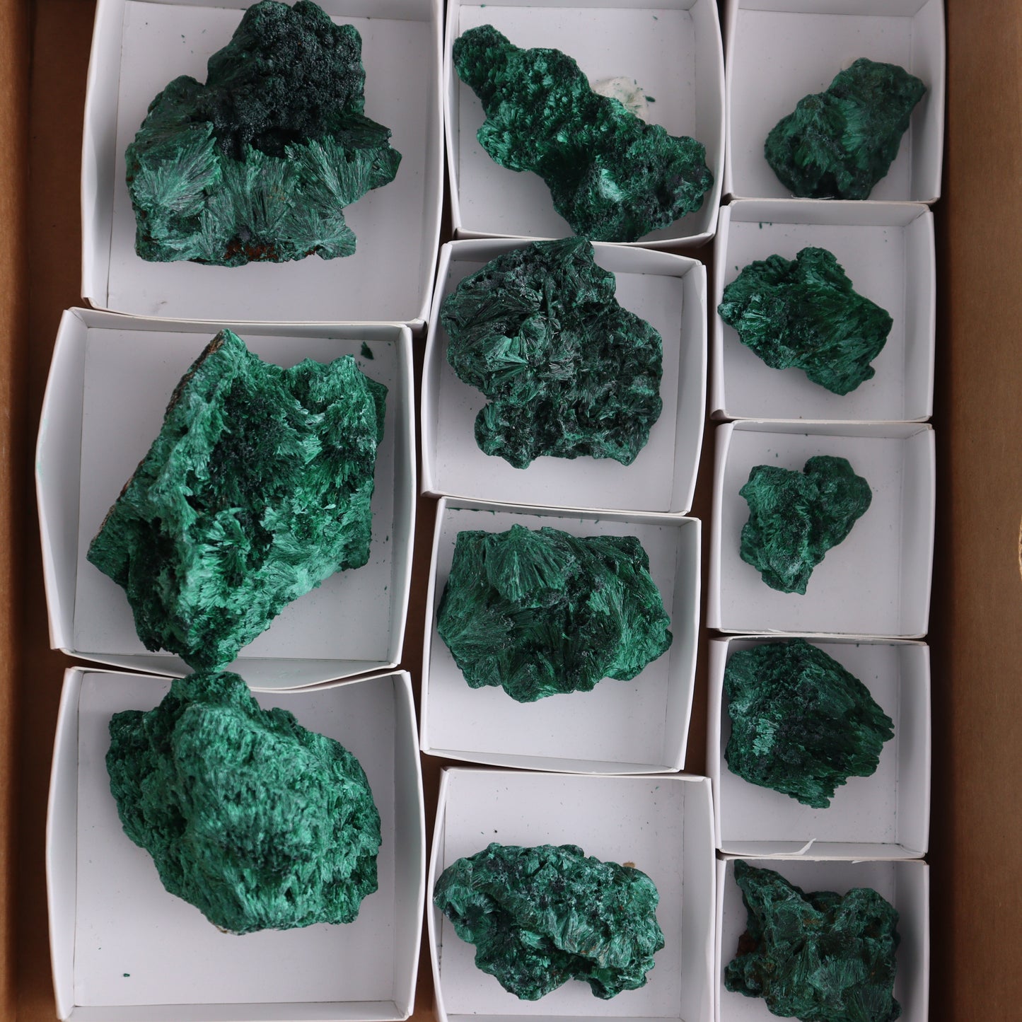 Malachite Flat of 12 - Expert Wholesale and Supplier of Wholesale Crystals & Bulk Gemstones, ["Congo","Flats","Malachite"]