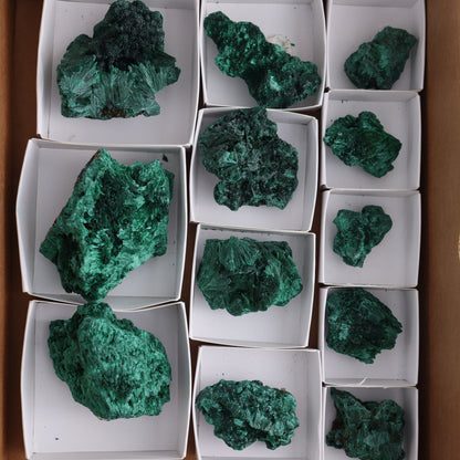 Malachite Flat of 12 - Expert Wholesale and Supplier of Wholesale Crystals & Bulk Gemstones, ["Congo","Flats","Malachite"]
