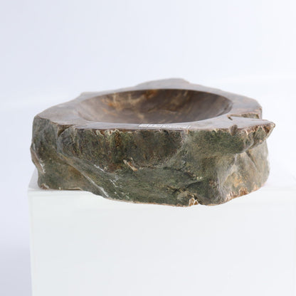 One Small Petrified Wood Brown Rough Bowl