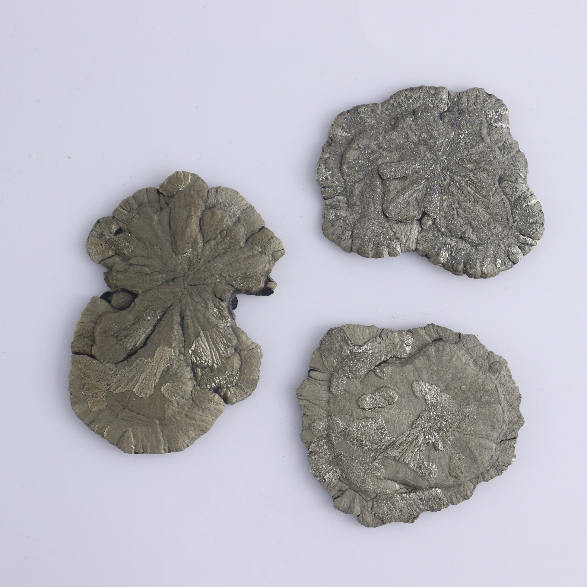 Pyrite Suns Flat of 16 - Expert Wholesale and Supplier of Wholesale Crystals & Bulk Gemstones, ["Pyrite","Suns","United States"]