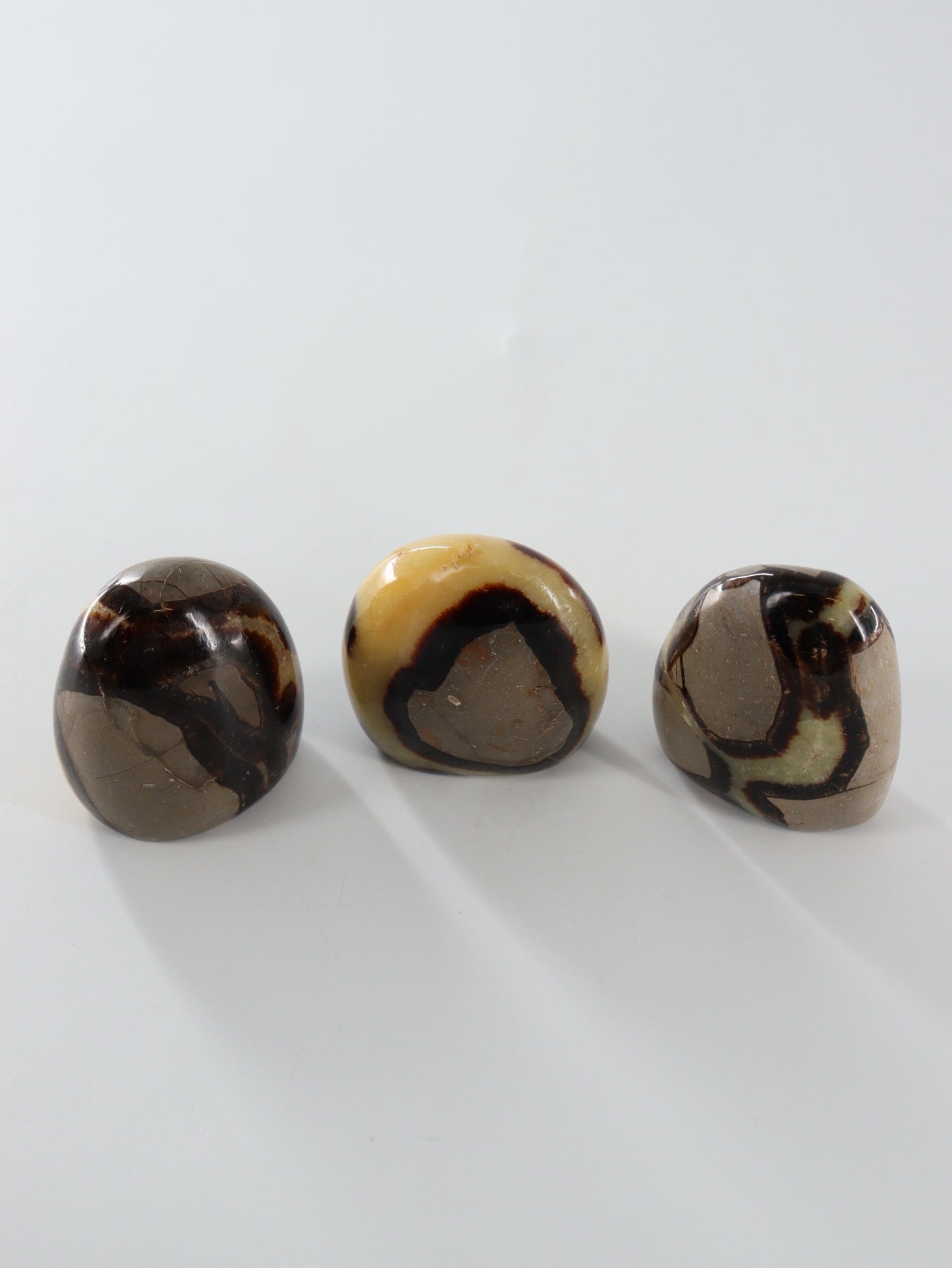 Septarian Freeforms Set of 12 - Expert Wholesale and Supplier of Wholesale Crystals & Bulk Gemstones, []