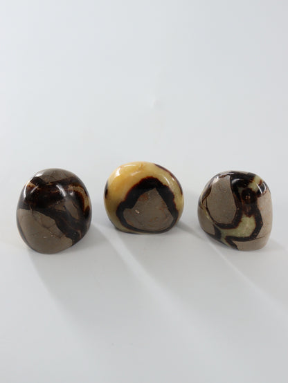 Septarian Freeforms Set of 12 - Expert Wholesale and Supplier of Wholesale Crystals & Bulk Gemstones, []