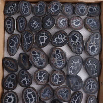 Septarian Geodes Flat - Expert Wholesale and Supplier of Wholesale Crystals & Bulk Gemstones, ["Geodes","Septarian"]