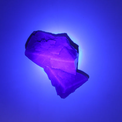 Fluorite Purple Rain Pocket Set of 7 - Expert Wholesale and Supplier of Wholesale Crystals & Bulk Gemstones, ["close_50","England","Fluorite","Purple Rain Pocket","Rough"]