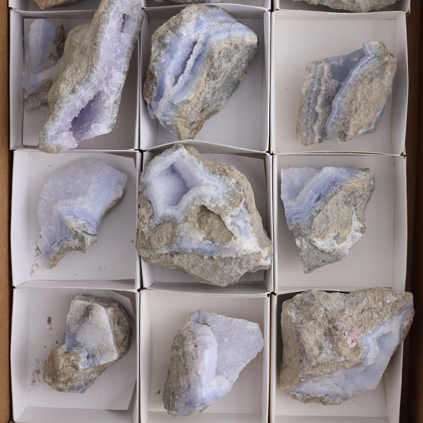 Blue Lace Agate Freeforms Set of 12