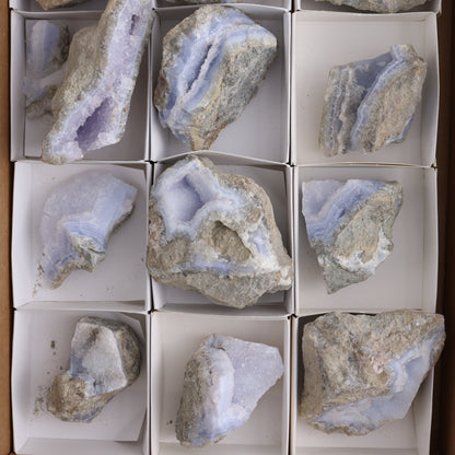 Blue Lace Agate Freeforms Set of 12