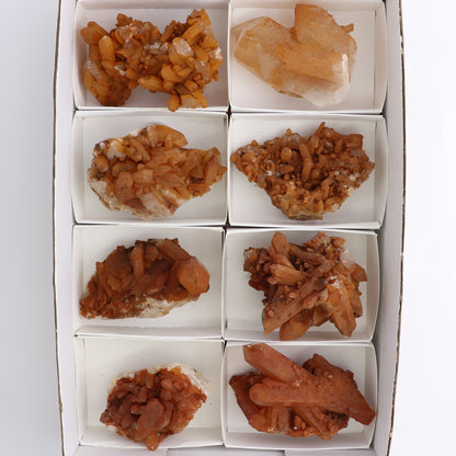 Dark Tangerine Quartz Clusters Set of 8 - Expert Wholesale and Supplier of Wholesale Crystals & Bulk Gemstones, ["Clusters","Quartz","Tangerine Quartz"]
