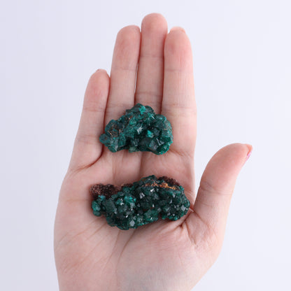 Dioptase Set of 12 - Expert Wholesale and Supplier of Wholesale Crystals & Bulk Gemstones, ["dioptase","Freeform","Freeforms"]