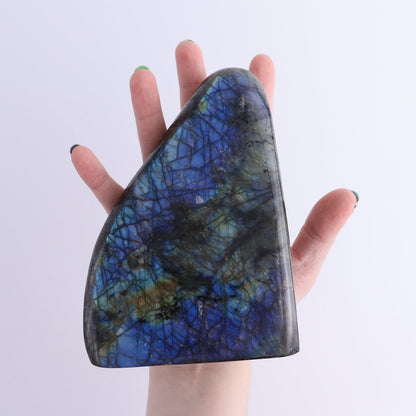Labradorite Freeform Set of 2 - Expert Wholesale and Supplier of Wholesale Crystals & Bulk Gemstones, ["Freeforms","Labradorite","Madagascar"]