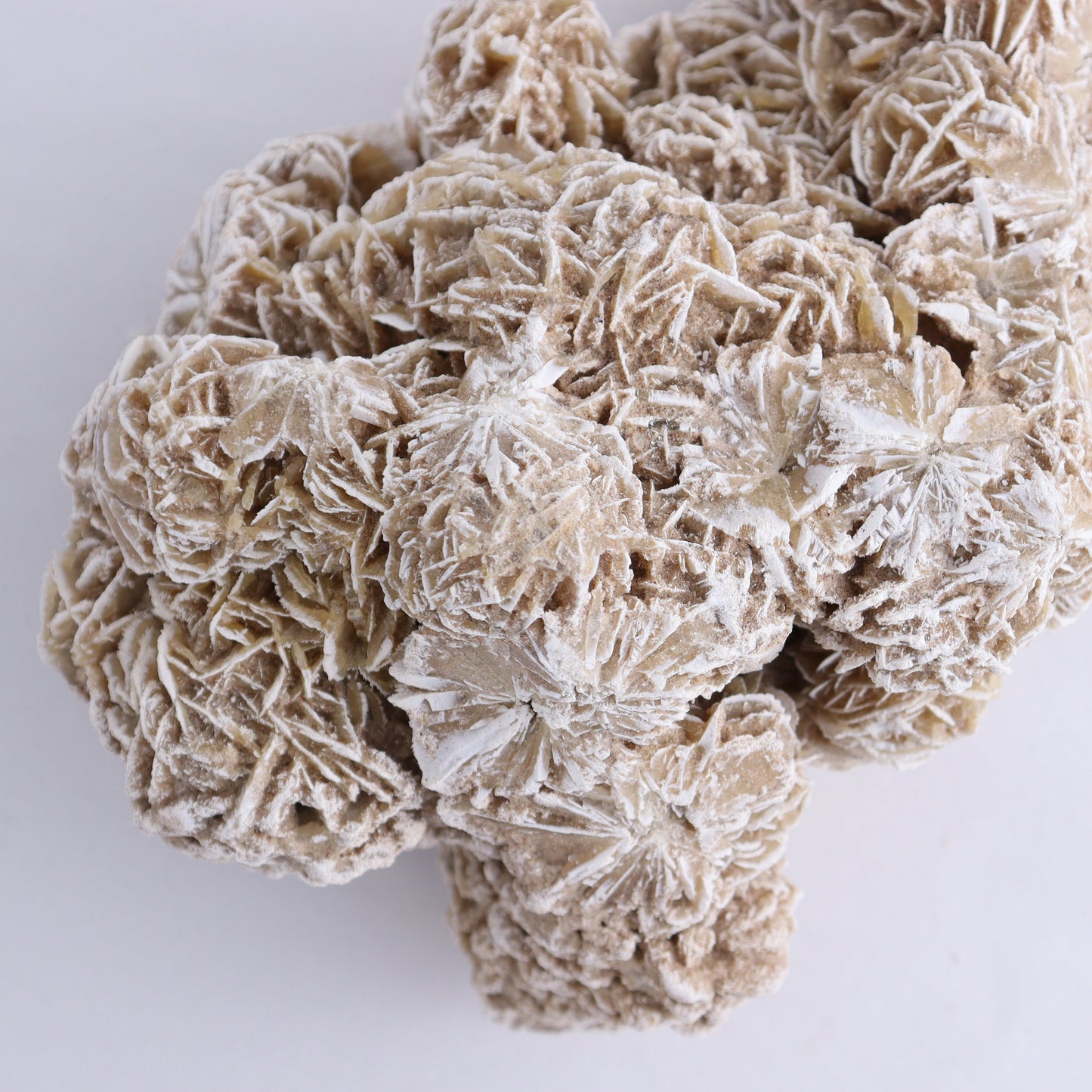Desert Rose Cluster - Expert Wholesale and Supplier of Wholesale Crystals & Bulk Gemstones, ["Desert Rose","Freeforms"]