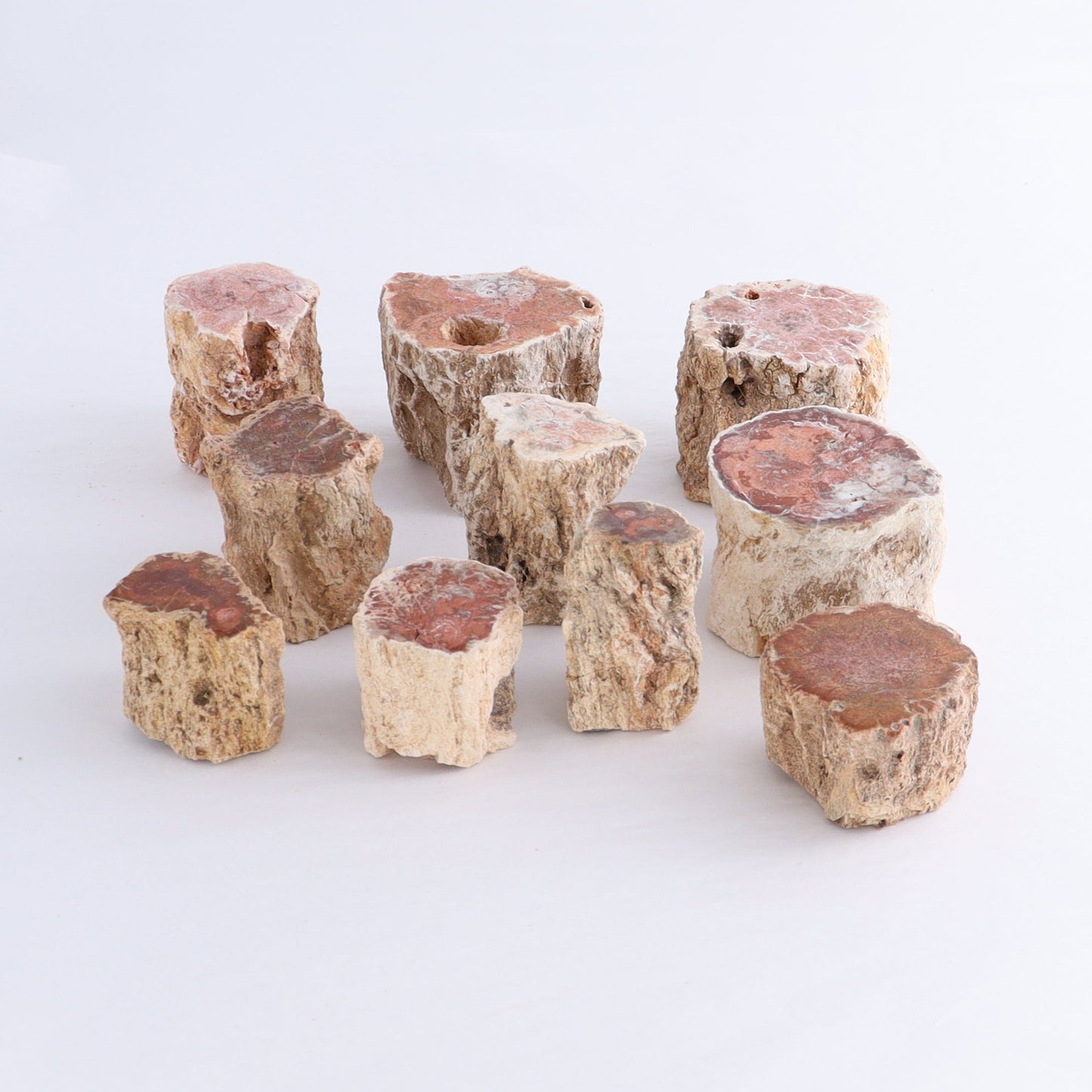 Petrified Wood Cut Bases Set of 10 - Expert Wholesale and Supplier of Wholesale Crystals & Bulk Gemstones, ["Cut Base","Petrified Wood"]