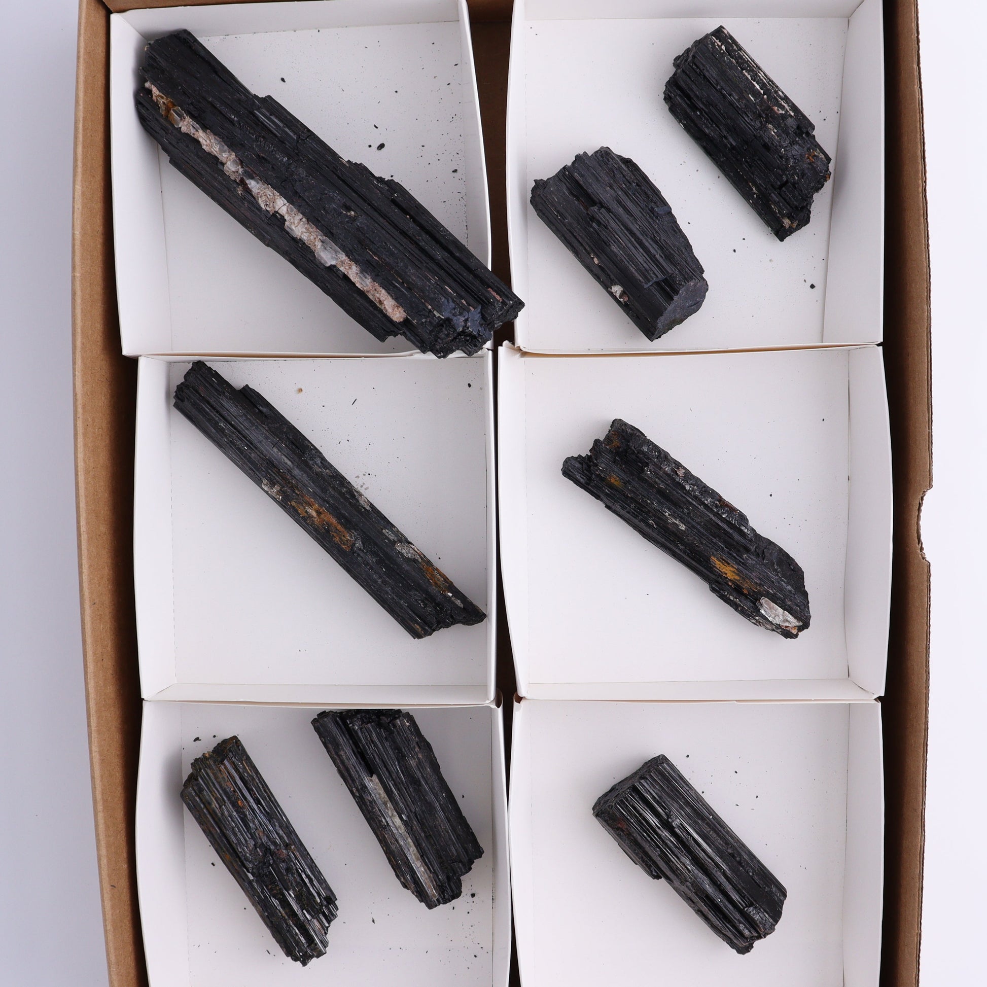 Black Tourmaline Roughs Set of 8 - Expert Wholesale and Supplier of Wholesale Crystals & Bulk Gemstones, ["Black Tourmaline","Rough","Tourmaline"]