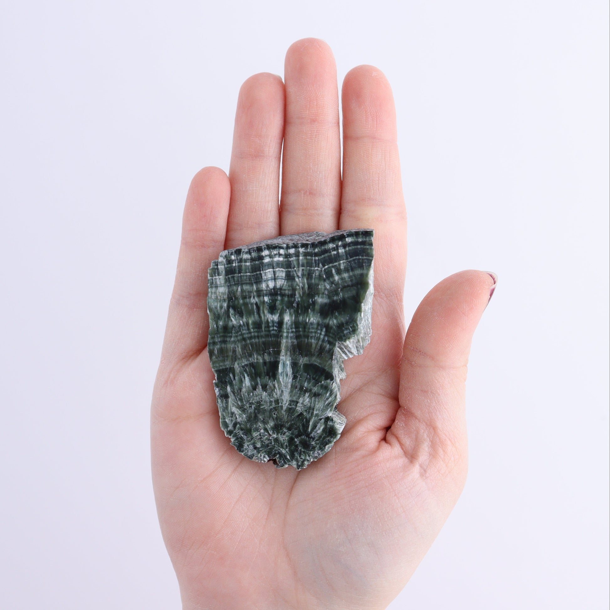 Seraphinite Slices Set of 6 - Expert Wholesale and Supplier of Wholesale Crystals & Bulk Gemstones, ["Russia","Seraphinite","Slices and Slabs"]