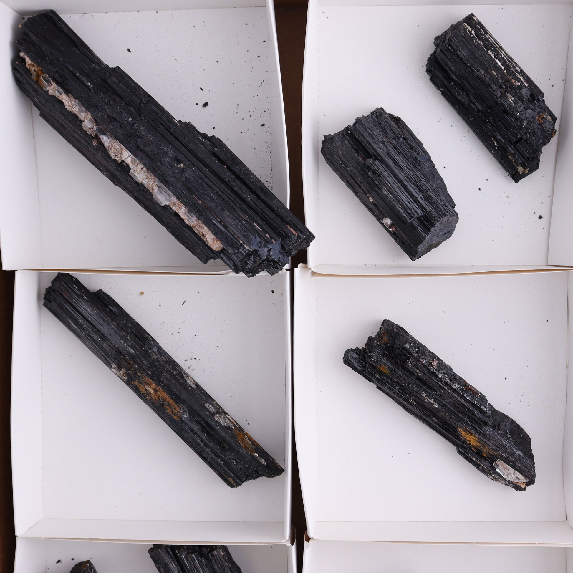 Black Tourmaline Roughs Set of 8 - Expert Wholesale and Supplier of Wholesale Crystals & Bulk Gemstones, ["Black Tourmaline","Rough","Tourmaline"]