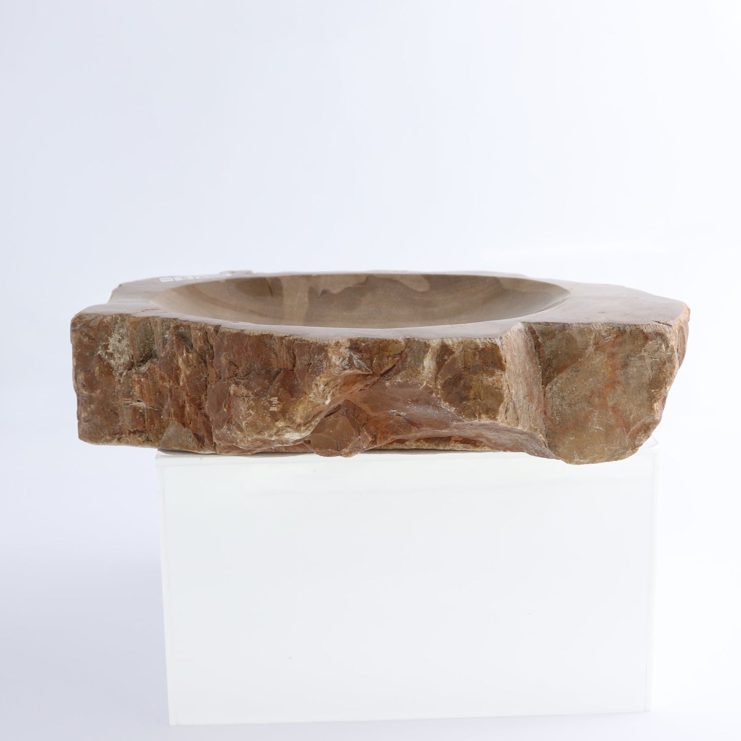 One Small Petrified Wood Brown Rough Bowl