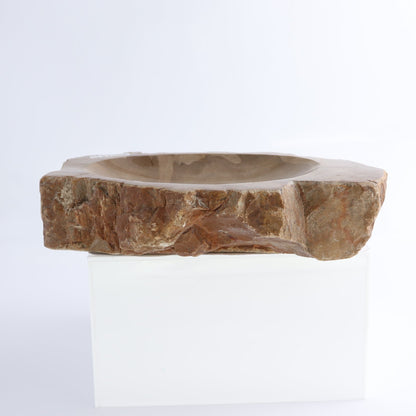 One Small Petrified Wood Brown Rough Bowl
