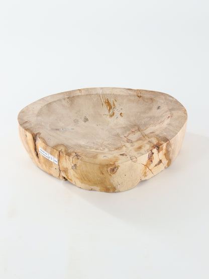 Petrified Wood Bowl - Expert Wholesale and Supplier of Wholesale Crystals & Bulk Gemstones, []