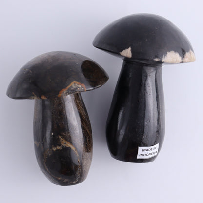 Petrified Wood Mushrooms Set of 4 - Expert Wholesale and Supplier of Wholesale Crystals & Bulk Gemstones, ["Indonesia","Mushrooms","Petrified Wood"]