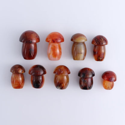 Carnelian Mushrooms Set of 9