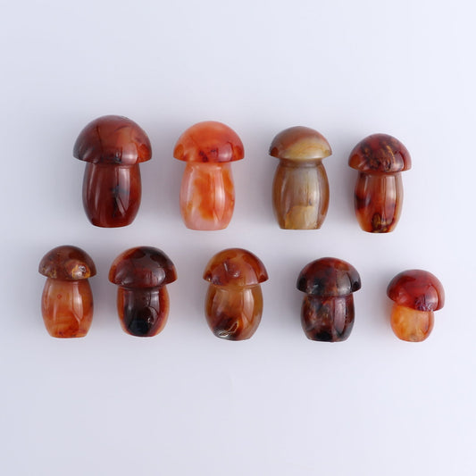 Carnelian Mushrooms Set of 9