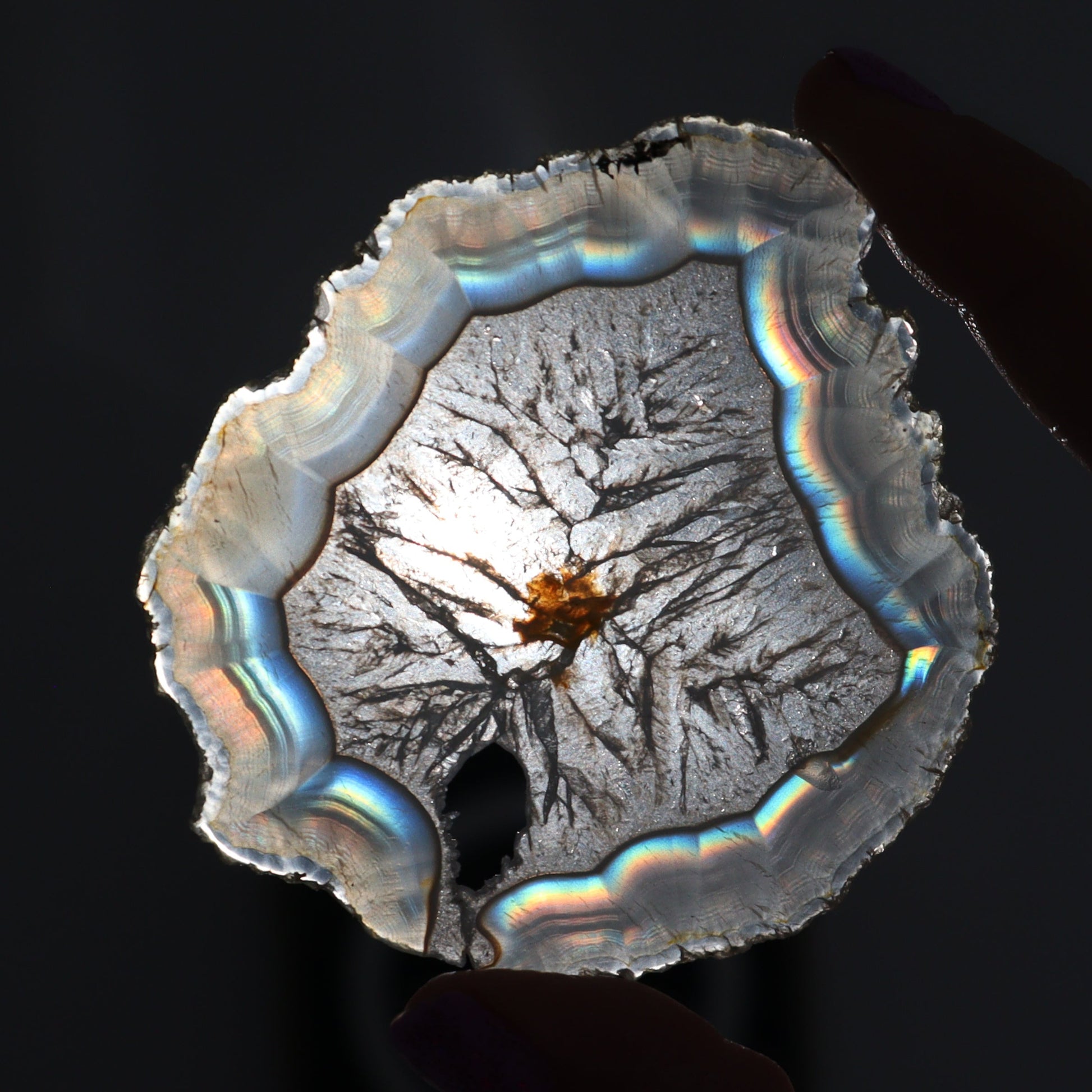 Iris Agate Slices Set of 6 - Expert Wholesale and Supplier of Wholesale Crystals & Bulk Gemstones, ["Agate","Iris Agate","Slices and Slabs"]