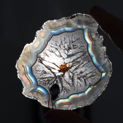 Iris Agate Slices Set of 6 - Expert Wholesale and Supplier of Wholesale Crystals & Bulk Gemstones, ["Agate","Iris Agate","Slices and Slabs"]