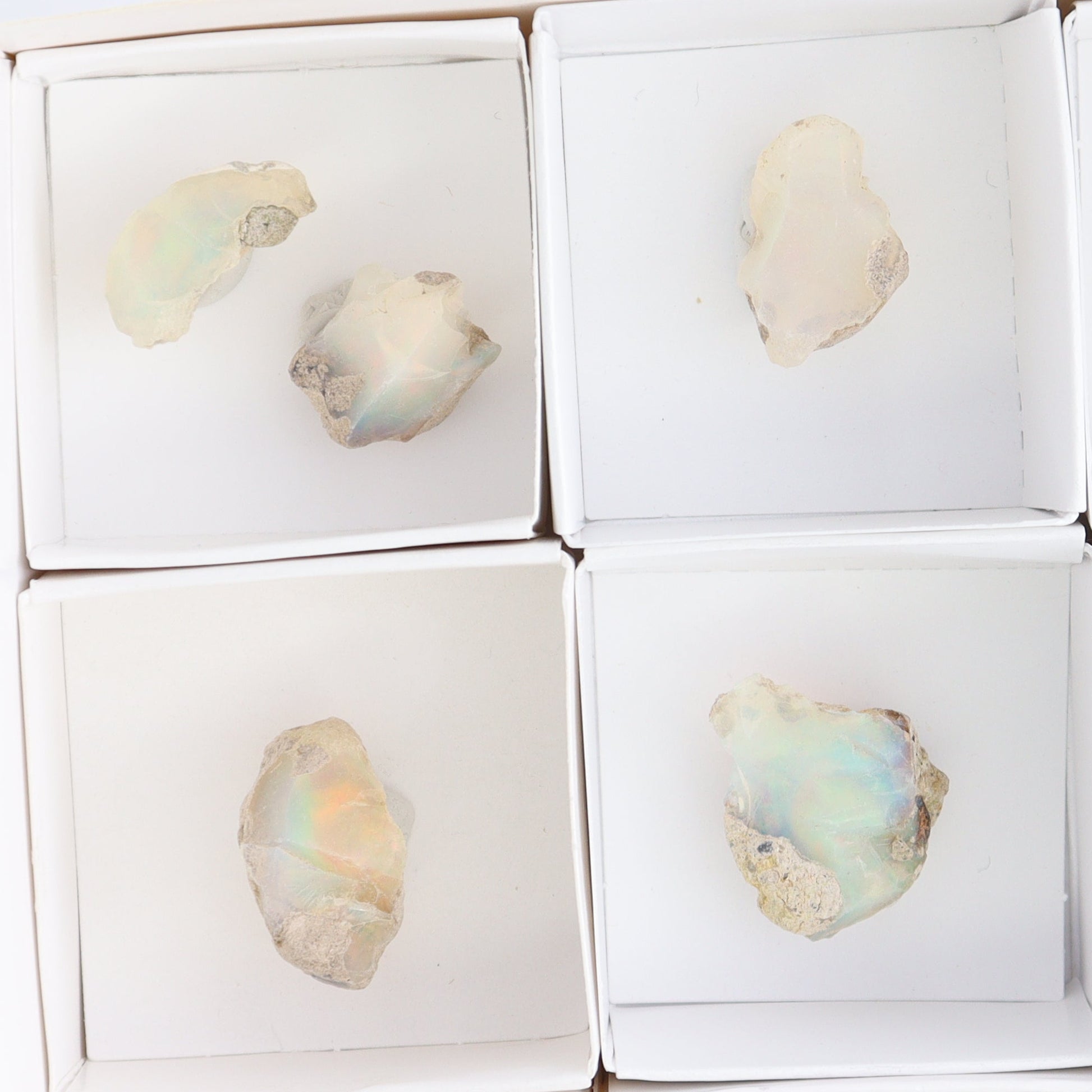 Ethiopian Opal Set of 10 - Expert Wholesale and Supplier of Wholesale Crystals & Bulk Gemstones, ["Ethiopia","ethiopian opal","Opal"]