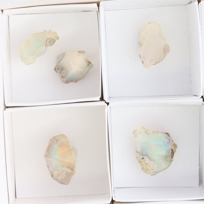 Ethiopian Opal Set of 10 - Expert Wholesale and Supplier of Wholesale Crystals & Bulk Gemstones, ["Ethiopia","ethiopian opal","Opal"]