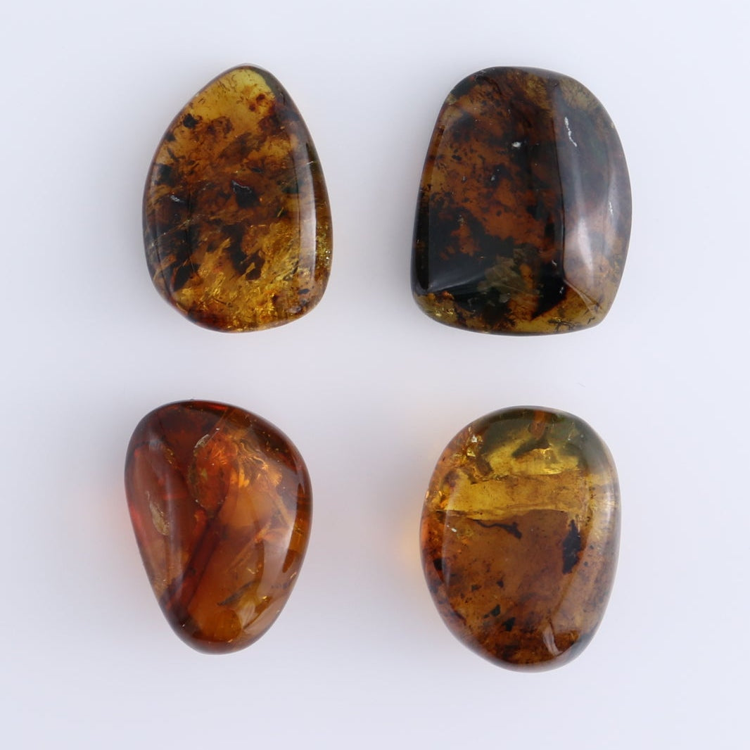 Chiapas Mexico Amber Freeforms Set of 13