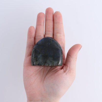 Labradorite Freeform Set of 7