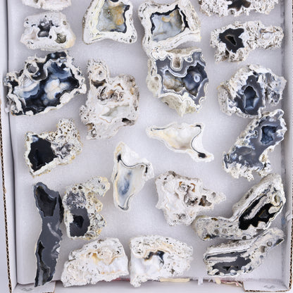 Agatized Coral Flat - Expert Wholesale and Supplier of Wholesale Crystals & Bulk Gemstones, ["Agate","Agatized Coral","Coral","United States"]