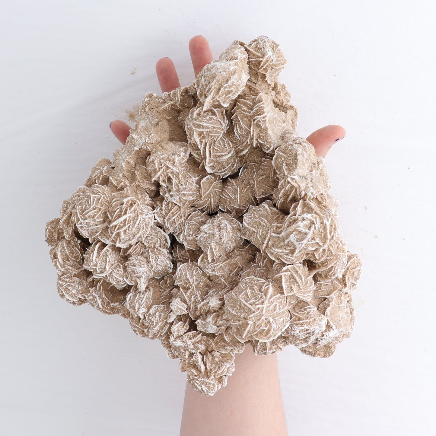 Desert Rose Set of 2