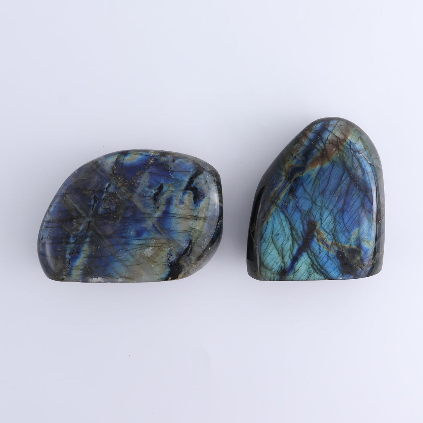 Labradorite Freeform Set of 6
