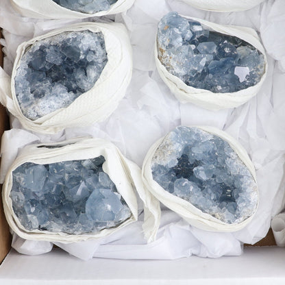 Celestite Clusters Set of 6